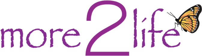 More 2 Life Logo
